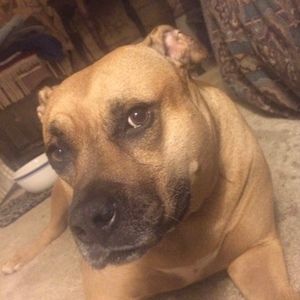 Meet your Posher, Carlos